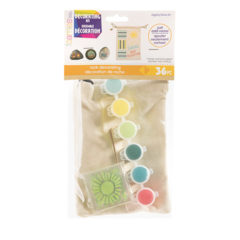 Rock Collecting & Decorating Kit